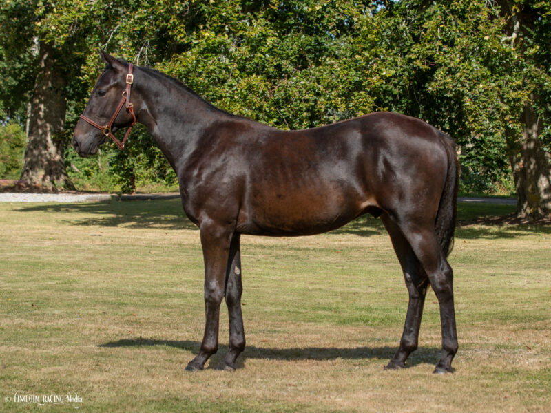 69 Bekir H.T.V. sida scaled 1 e1716324122256