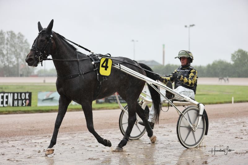 Aalborg - Sådan er det gået 895A9239