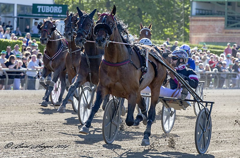 Copenhagen Cup-vinder slettet i comeback BarackFace