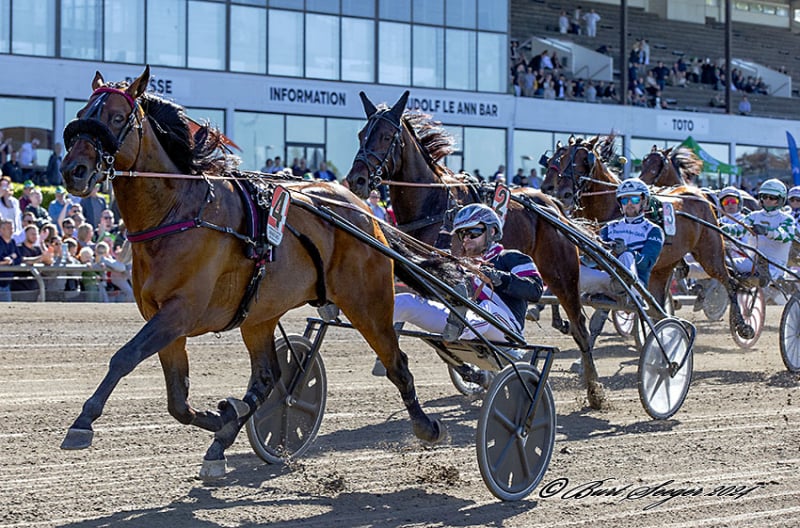 Så gælder det Copenhagen Cup BarackFace2