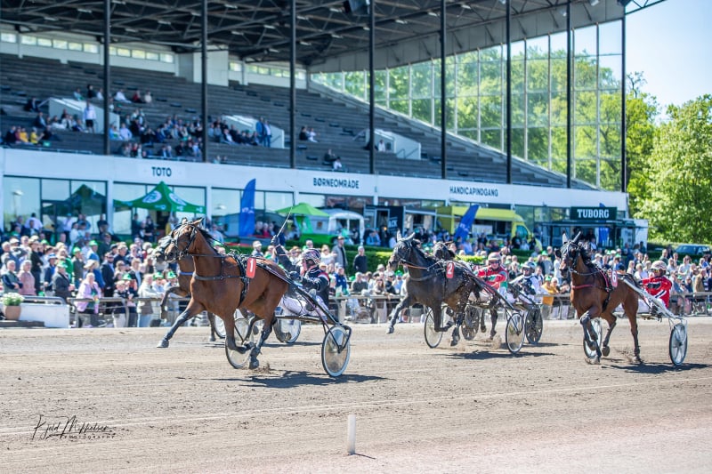 Dyhrberg - Han er undervurderet som kusk BigLittleMan