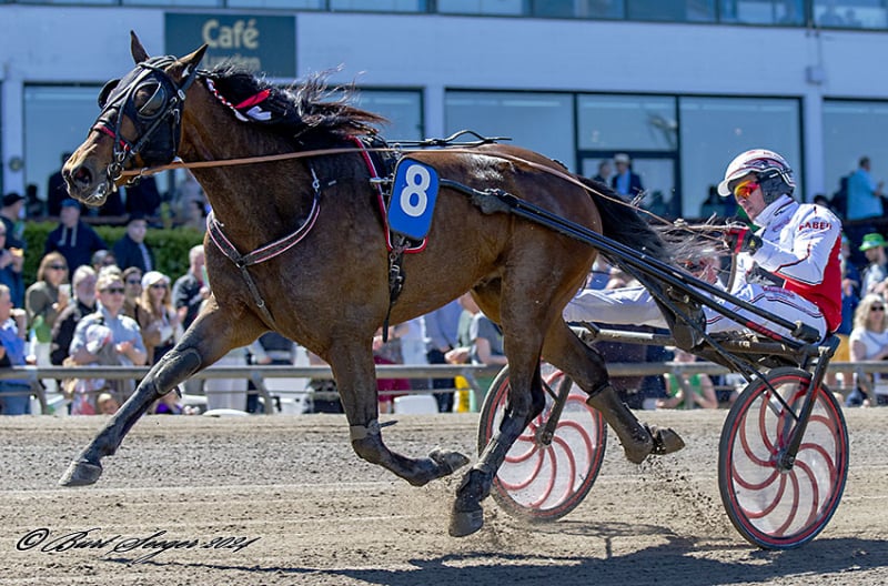 Sådan er det gået i V4-løbene FlyEquosJet