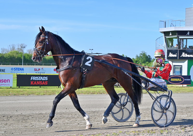 Kort nyt HE_DARES_THE_DEVIL_DSC_2852