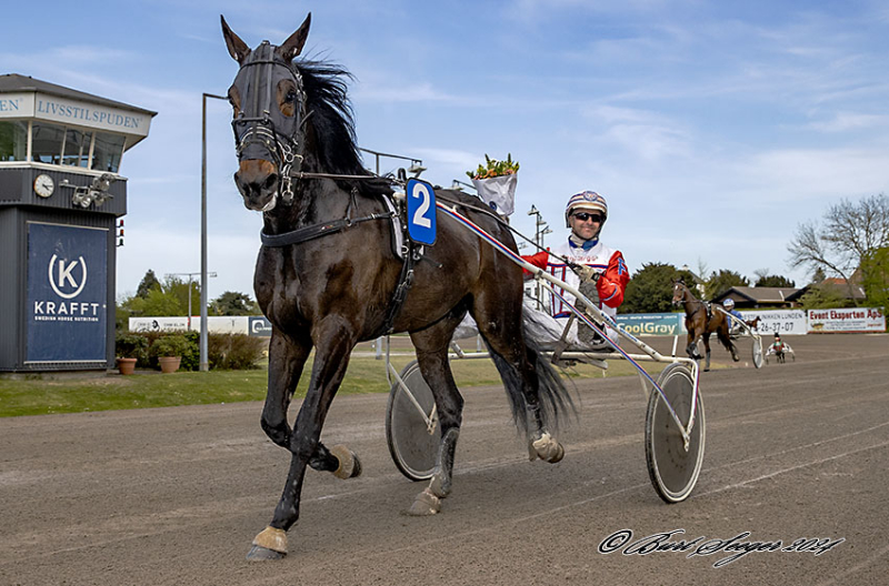 Ibrahimovic kan tage et hattrick i dag IBRAHIMOVIC_D2I2482