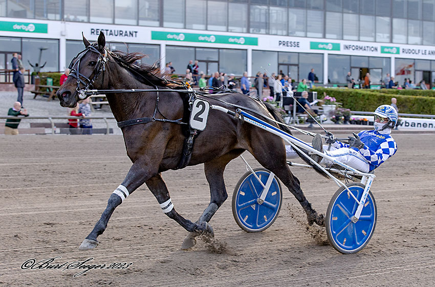IVANA NORDIC MGL3809