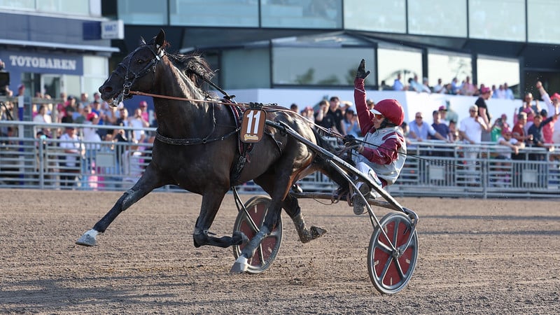 Kort nyt IzoardVedaquais