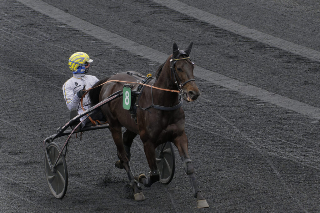 JLL 6153 20230304 152531 scaled 1