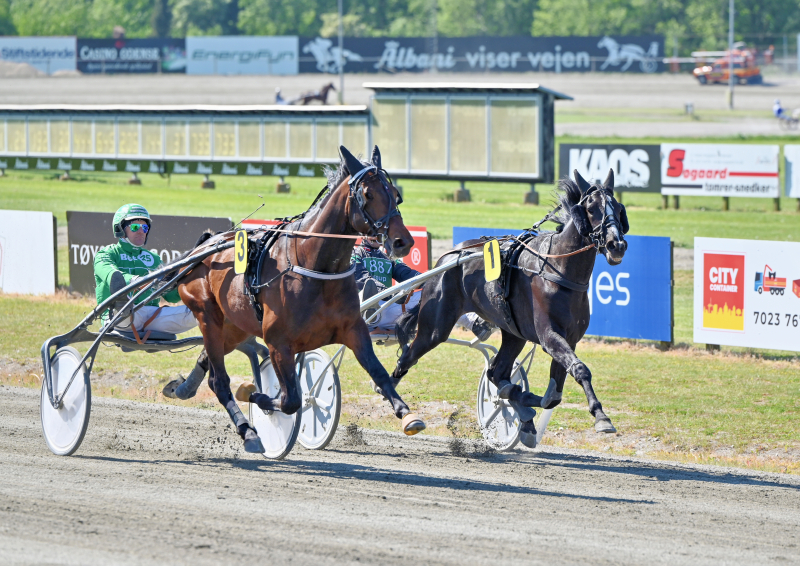 KING LEGEND DSC 5571