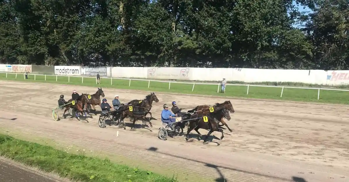 Aalborg Hesteejerforening prøver igen Traeningsdagen-september-2023