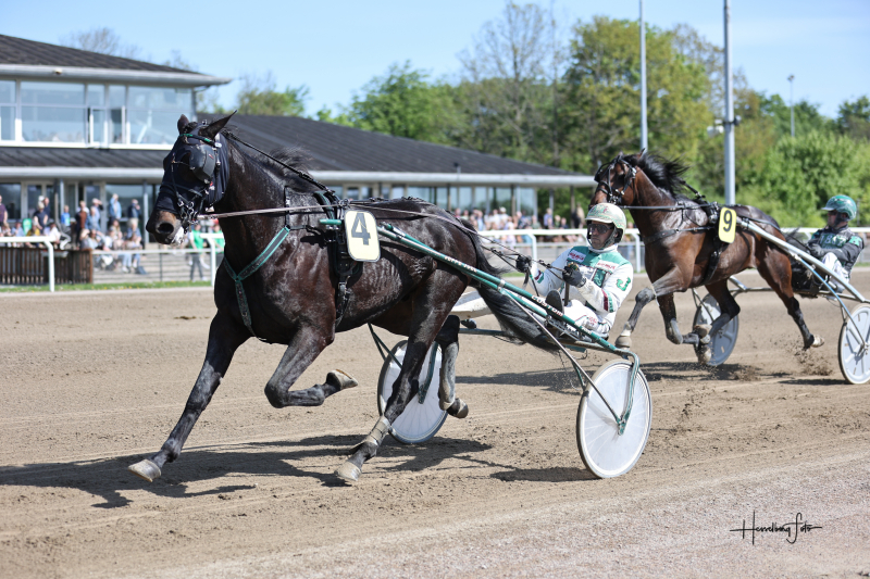 Sådan er det gået i Aalborg kERMIT