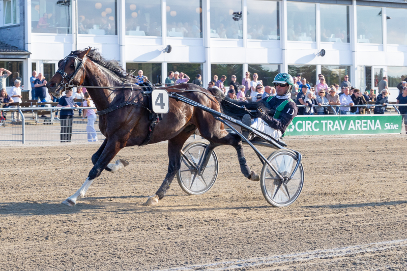 Musketerdagen - Startlisterne er klar kungfufighting