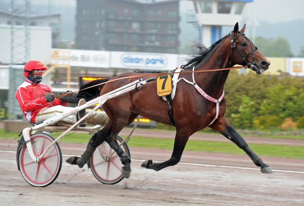 spartan kronos lugauer conrad 2296copy1