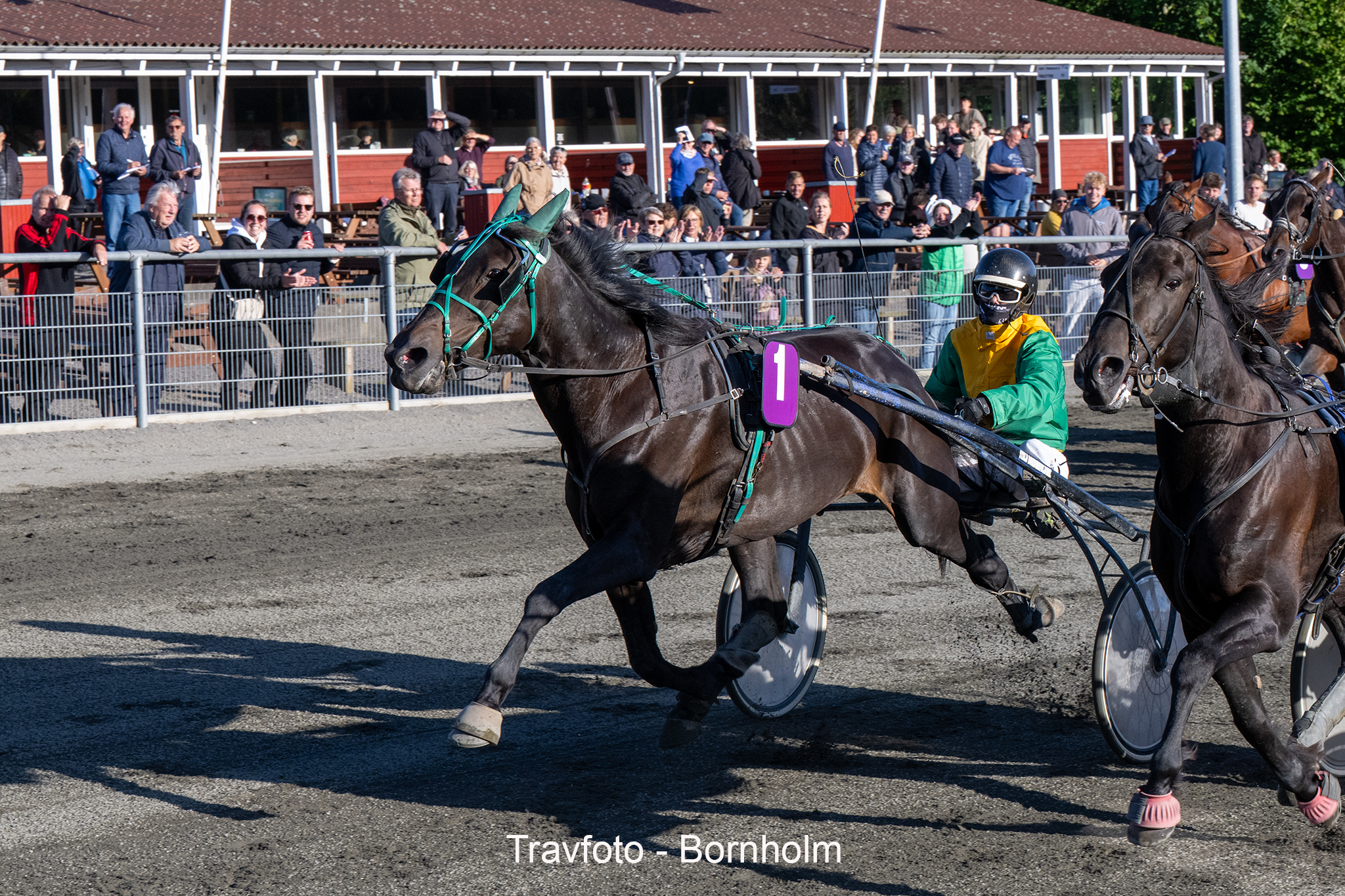 Camilla Sisu med Olivia Munk 12 juni 2024 Fotograf Torben Ager Travfoto Bornholm TKA 2194