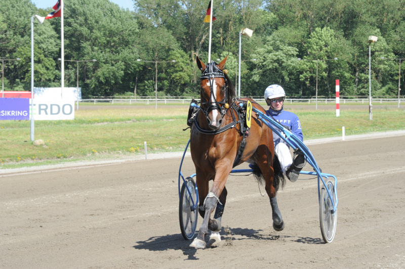 Jydsk Væddeløbsbane - Sådan er det gået Major Love