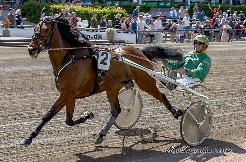 Kort nyt IDEAL_STONE_MGL2529