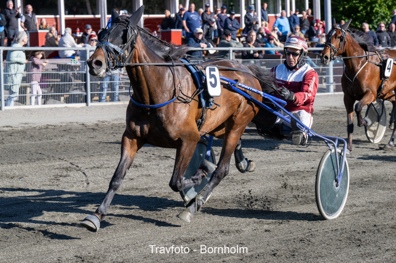 Impressive K med Frank Mikkelsen 12 juni 2024 Fotograf Torben Ager Travfoto Bornholm TKA 2058