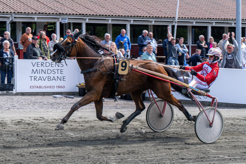 Jack Baldwin med Mads Petersen 20 maj 2024 Fotograf Torben Ager Travfoto Bornholm TKA 0881 scaled 1