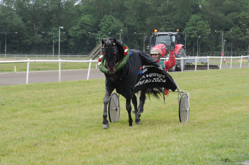 Stor dag på Jydsk Væddeløbsbane venter Jigger3