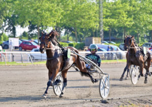 SONGBIRD DSC 8229