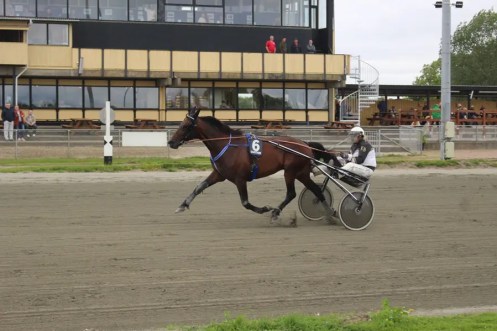 attention boegedal 240622