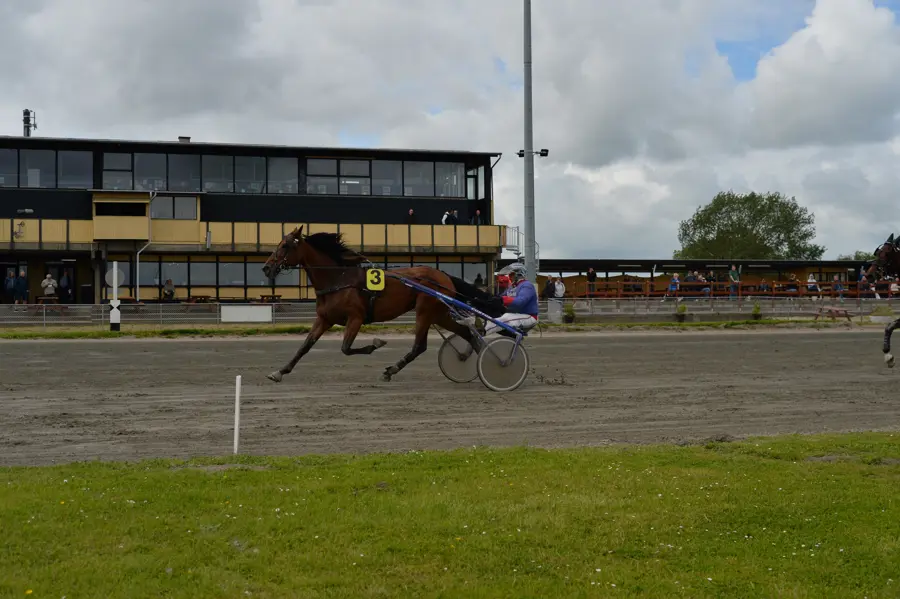 Sådan er det gået på Falster joelle-240611