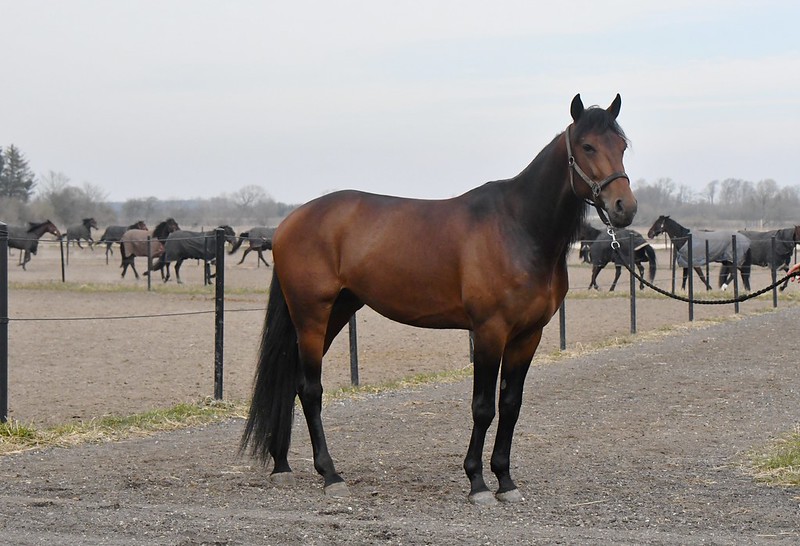 51943119641 74ea38451e c