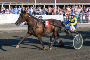 Hi Was The Night med Jonas MIkkelsen 31 juli 2024 Fotograf Torben Ager Travfoto Bornholm TKA 6492 scaled 1