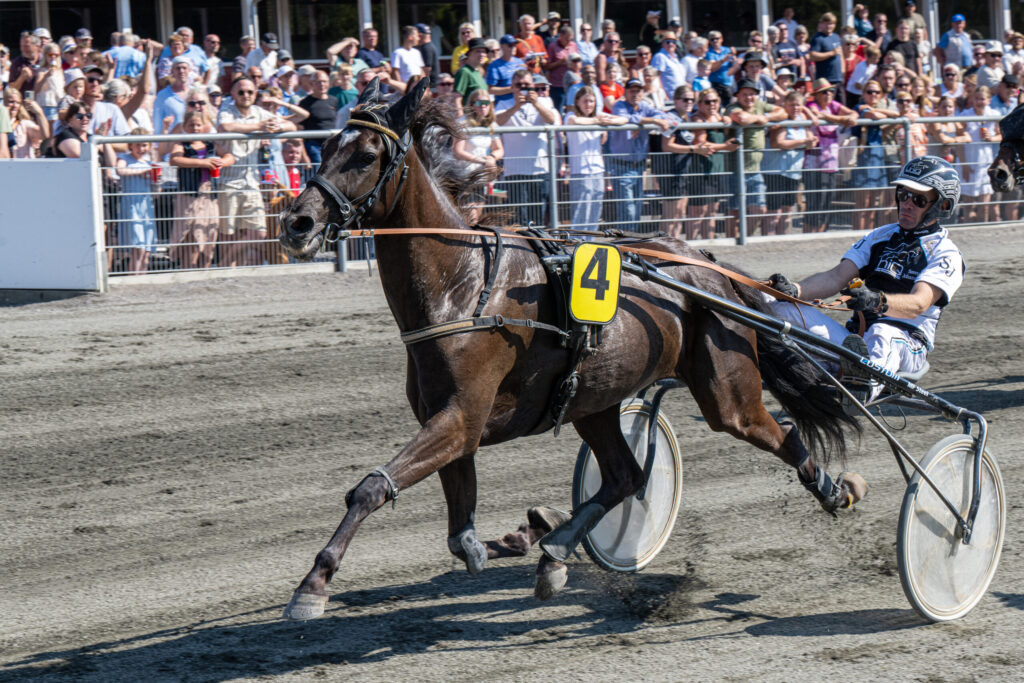 Hotspot Shadow med Soeren Johansson 23 juli 2024 Fotograf Torben Ager Travfoto Bornholm TKA 5722 scaled 1