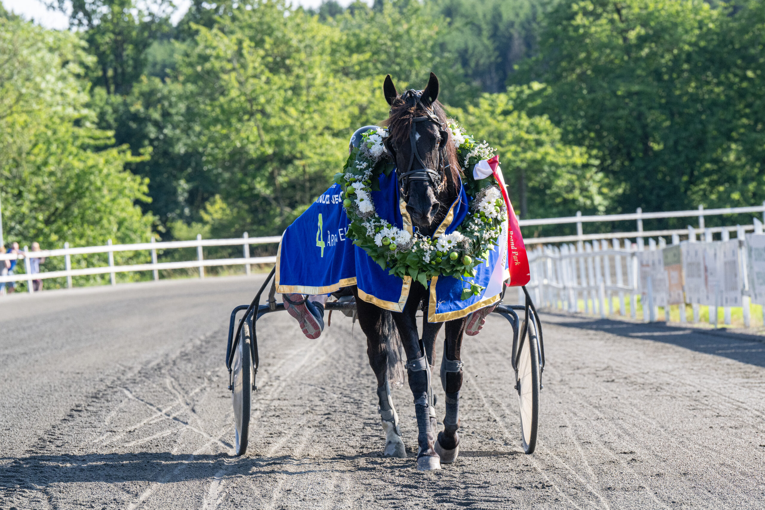 Ina Baunely med Martin Sjoeholm Jensen 23 juli 2024 Fotograf Torben Ager Travfoto Bornholm TKA 5894 scaled