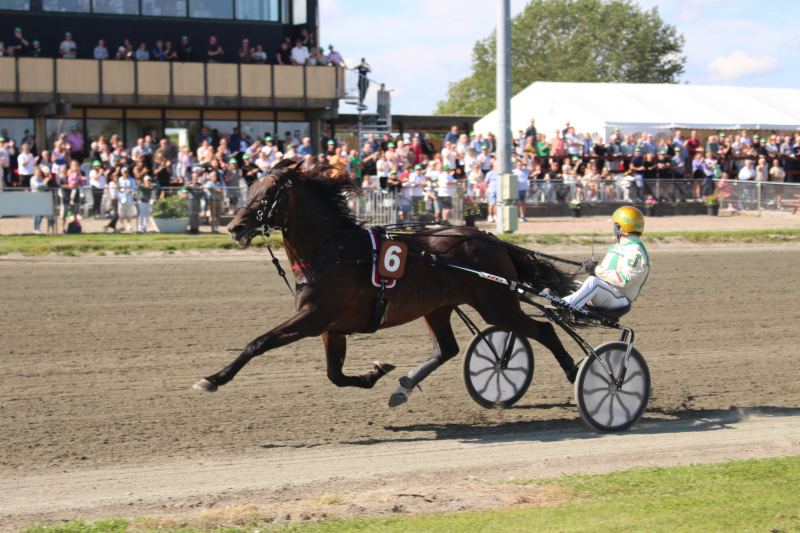 Larsson 240714