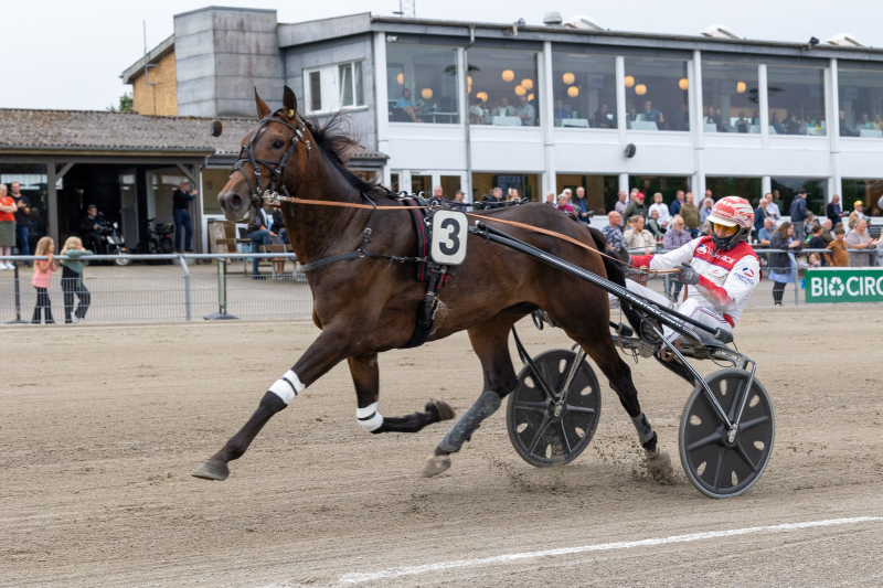 hugo boss shadow 1 of 1 2