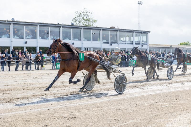 Danskhv - Positiv A- & B-prøve know_your_shadow_1_of_1_2