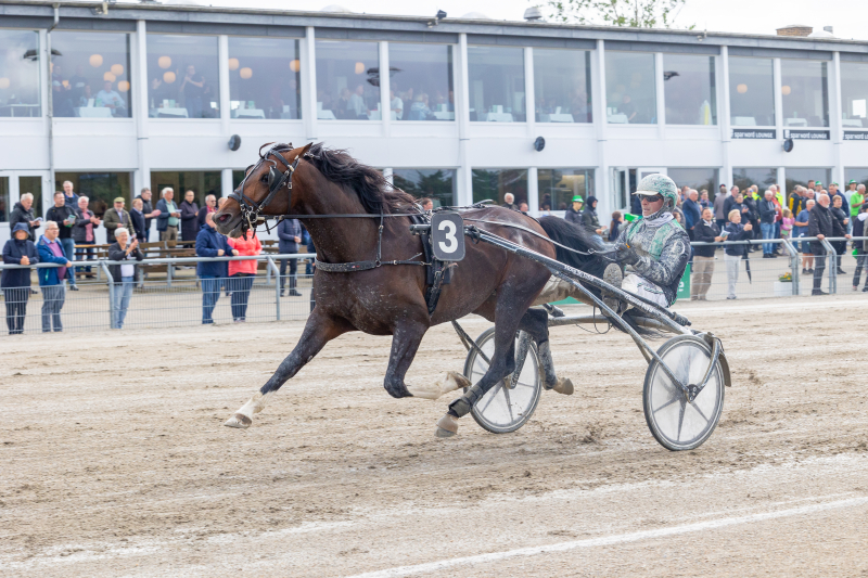 Kort nyt kungfufighting_1_of_1_2