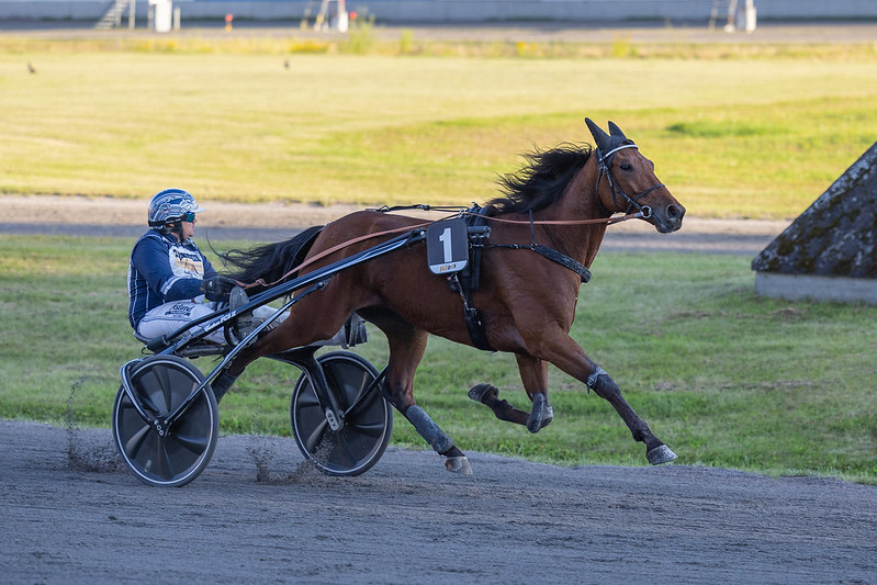 Kim Pedersen på 200 sejre Kim Pedersen