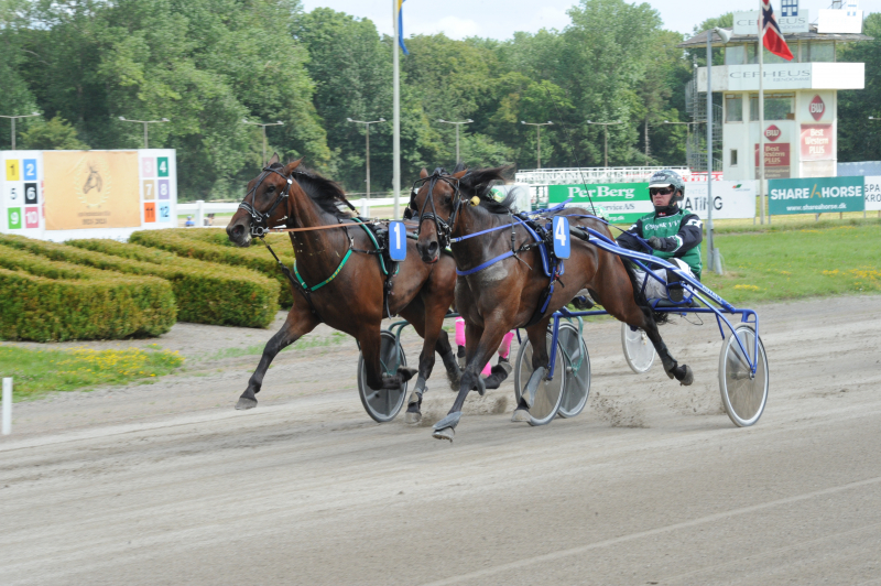 Vinderhest fik startforbud DSC_6767