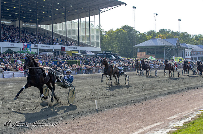 Icebreaker trænerskiftes ICEBREAKER_MGL7019