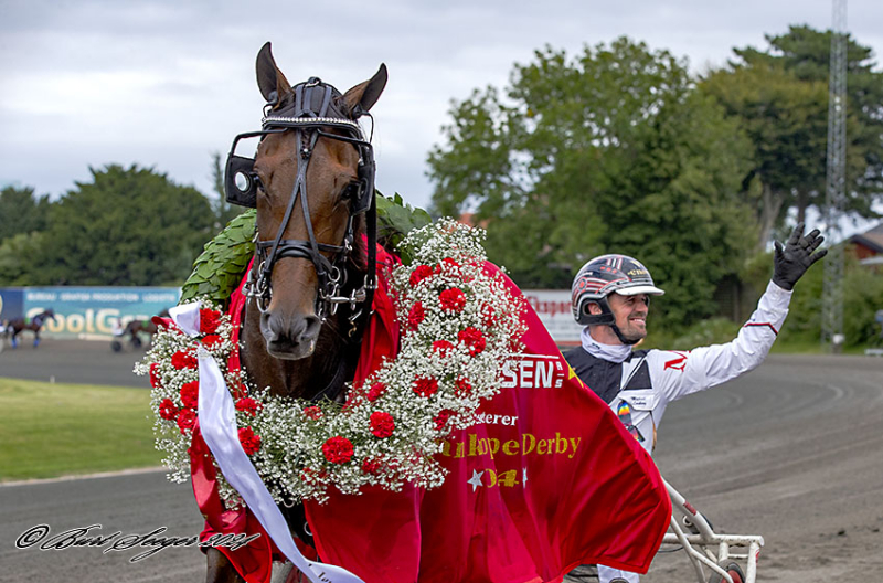 Kort nyt JUNO_MGL6365