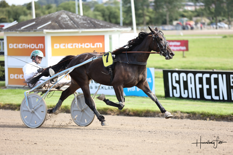 Sådan gik det i Aalborg Kamomillah