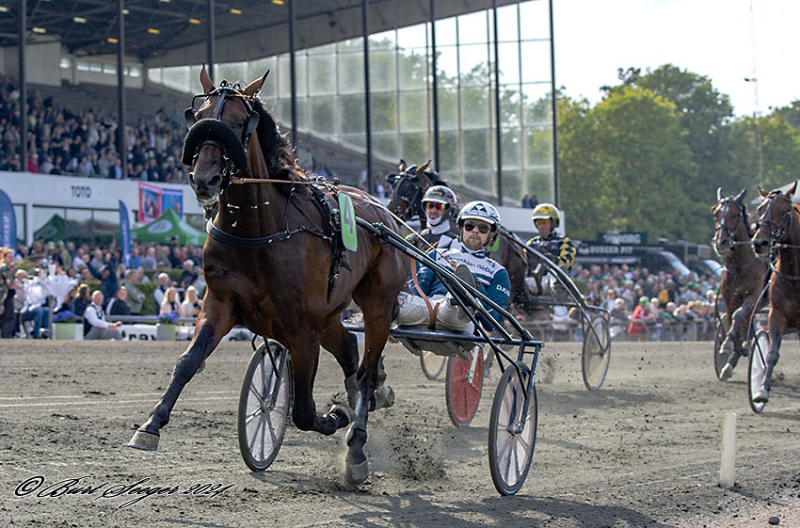 Gordon Dahl til Sverige i dag LOOK_AT_ME_SISU_MGL6817