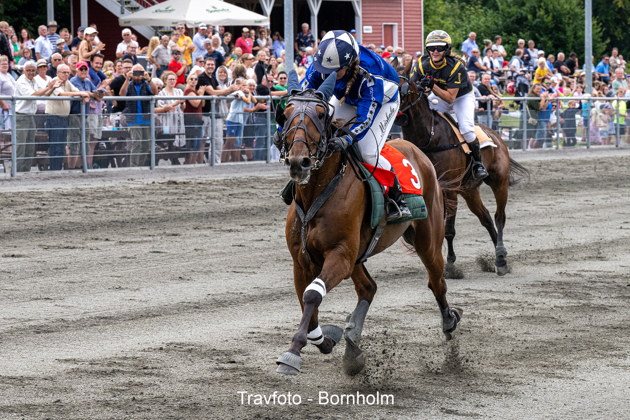 Storløbsdag - Sådan gik det på Bornholm Lluc Boko med Michala Haagensen 17 august 2024 Fotograf Torben A