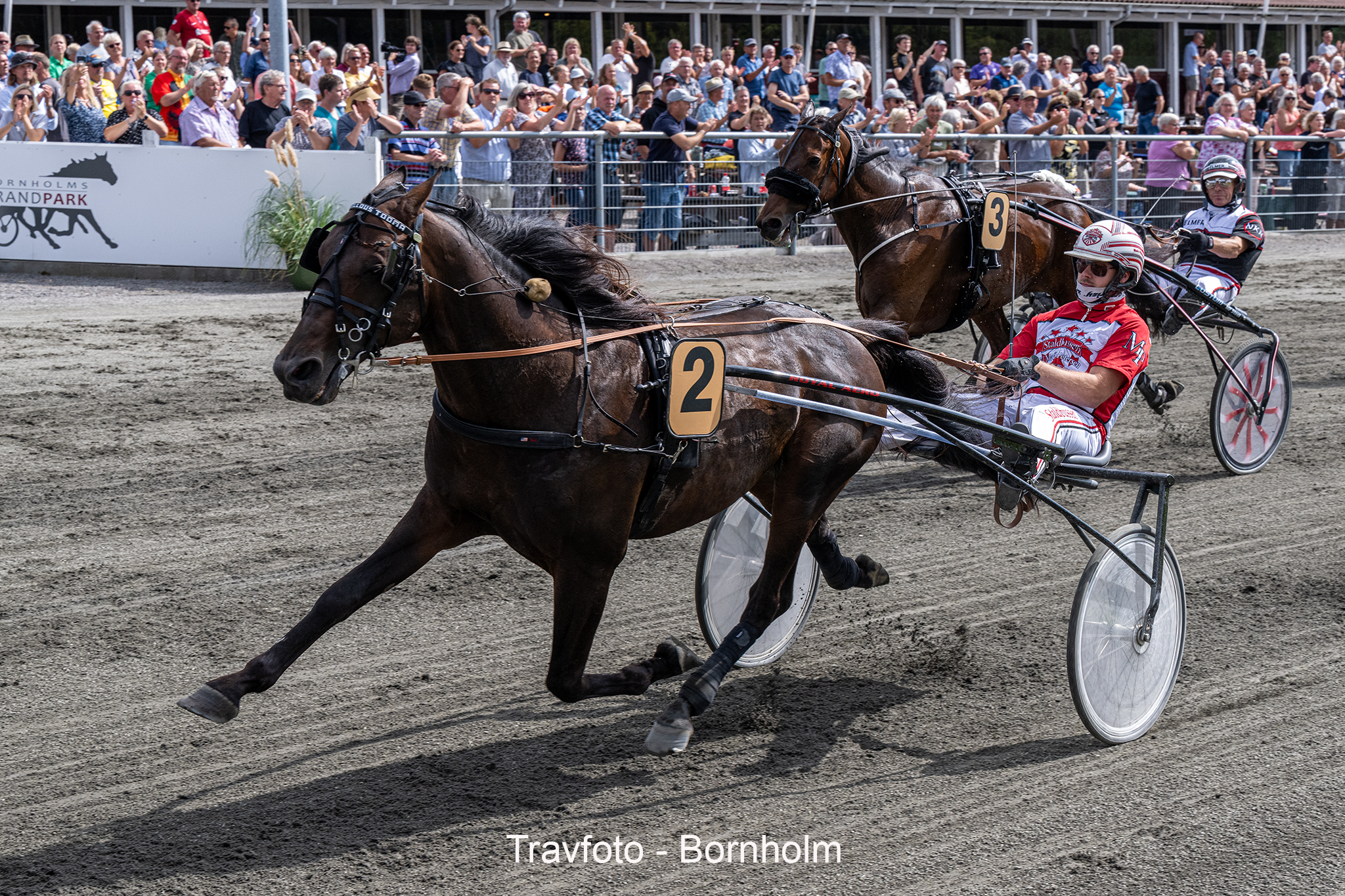 Kort nyt Marvellous Tooma med Mads Petersen 17 august 2024 Fotograf Torbe