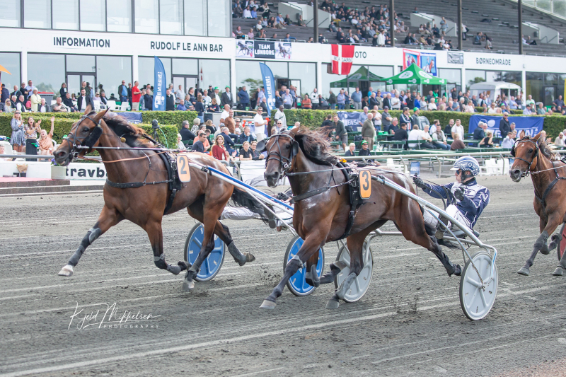 WhoopsHanover 1819 kopier