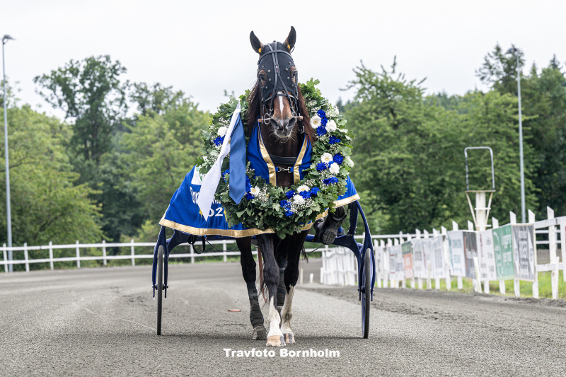 Zaffiro Jet med Nicklas Korfitsen Bornholms Brand Park 20 august 2023 Fotograf Torben Ager Travfoto Bornholm TKA 5529