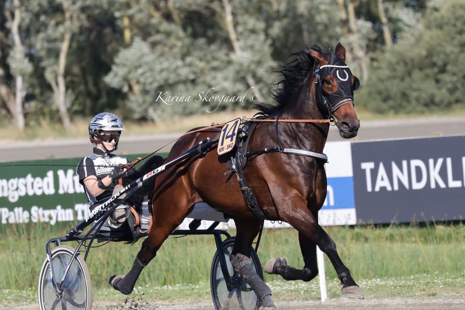 451129017 2677100379138392 5596616838211884075 n