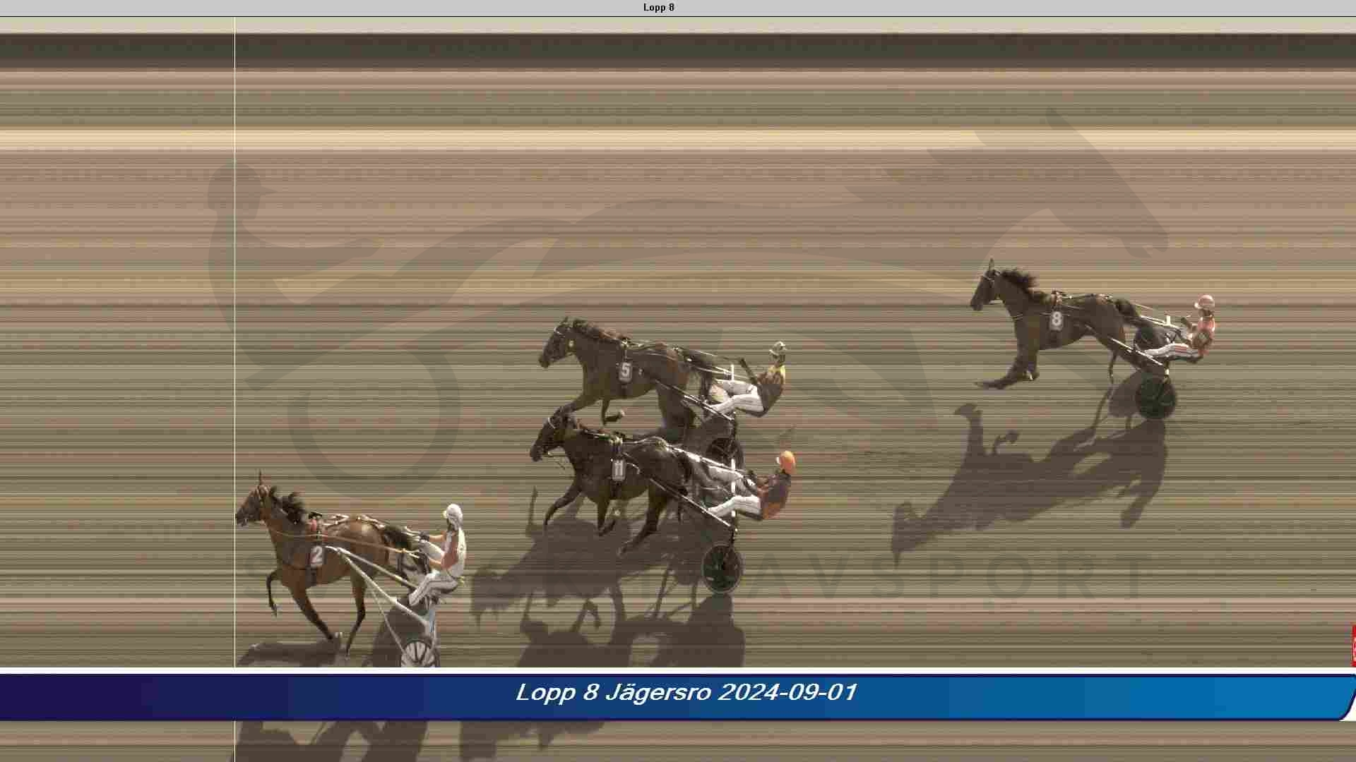 Svensk Hoppe Derby til Daim Brodda 8