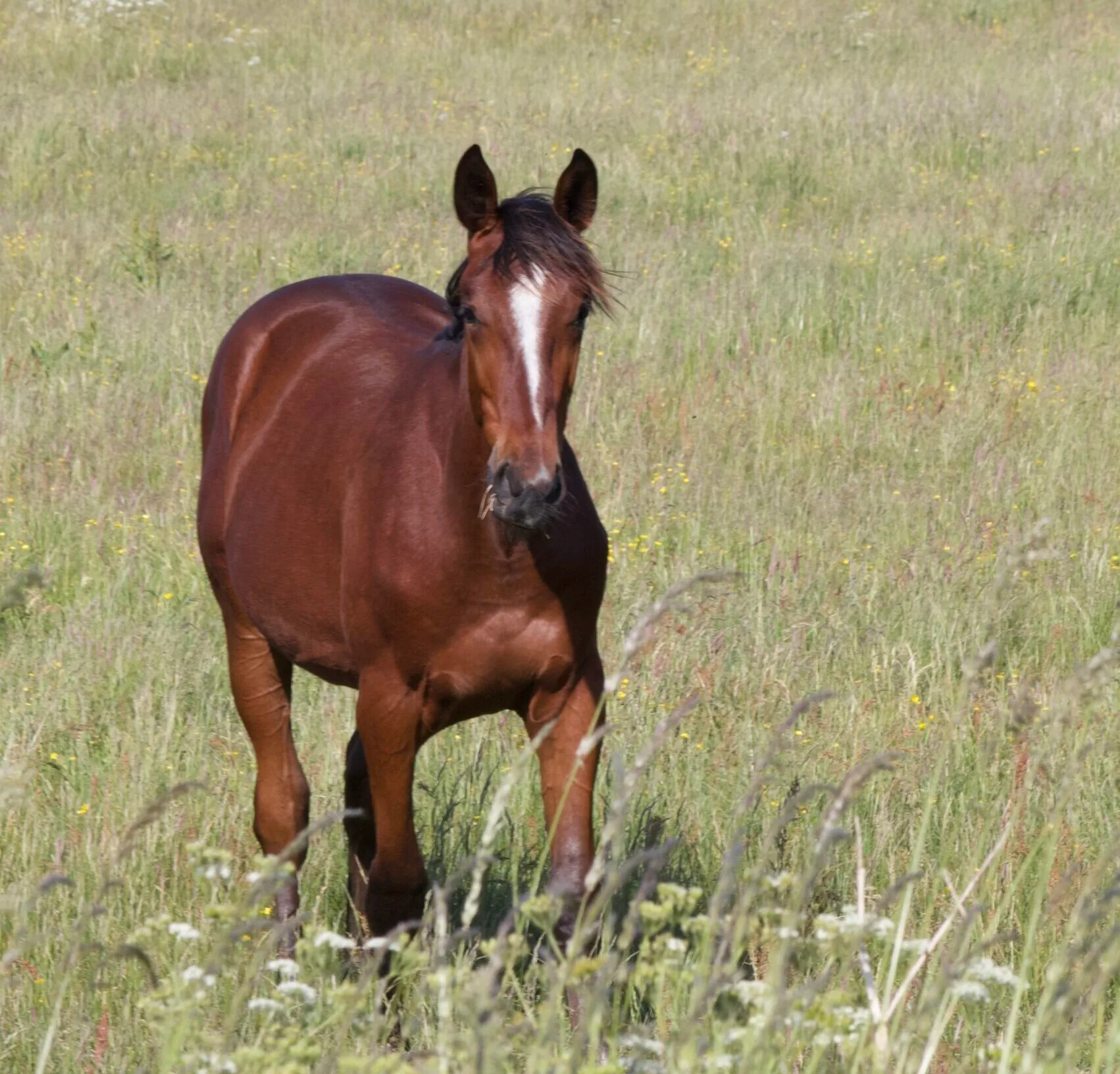 Vi tror på Hovgaard i dag IMG_6963-scaled-e1686604747588