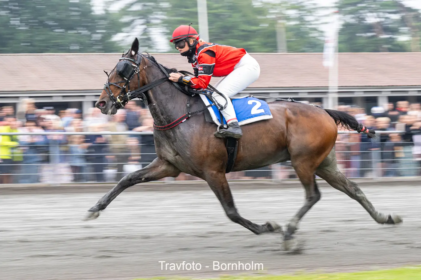 Nicole jagter 11 sejr i træk på Bornholm asger_molar_med_nicole_marsing_10_juli_2024_fotograf_torben_ager_travfoto_bornholm_tka_4756