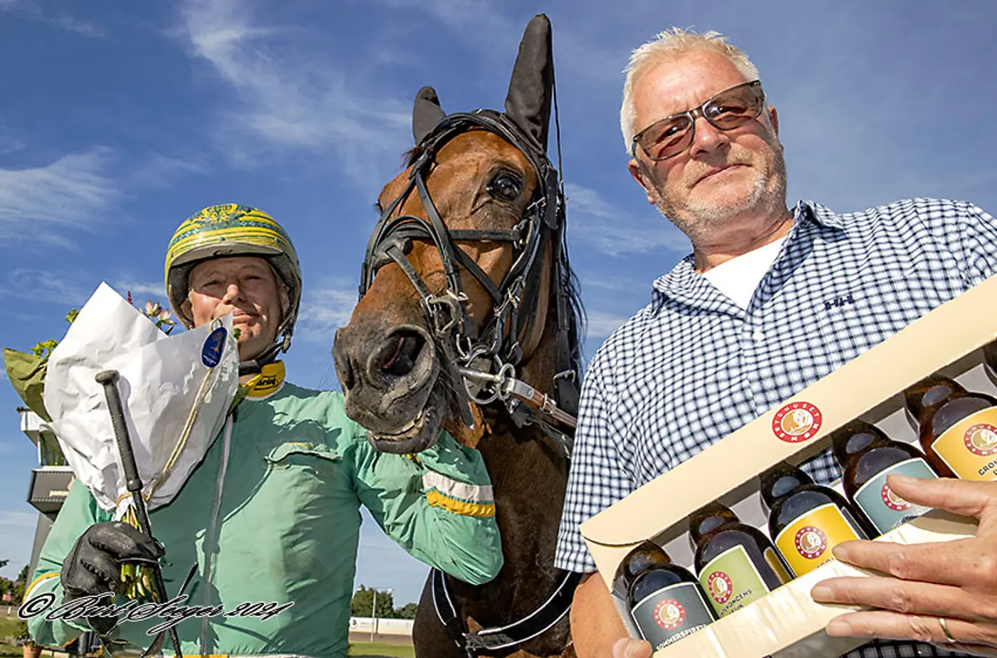 Jens Arne Hansen - Sejrshesten Ideal Stone solgt ideal_stone_d2i3896-1