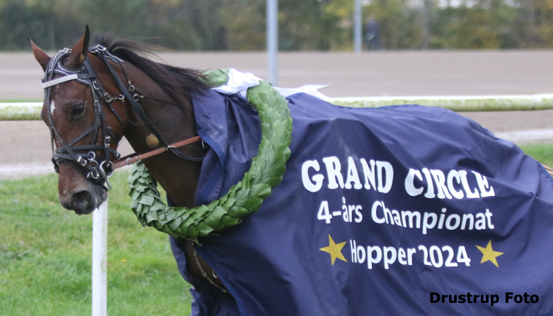 Grand Circle 4-års Hoppechampionat 2024 til Iloveyou Butcher 3D0A8262 (1)