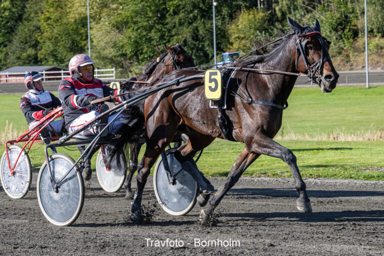 Ghostbuster med John Gommans 5 oktober 2024 Fotograf Torben Ager Travfoto Bornholm TKA 0827
